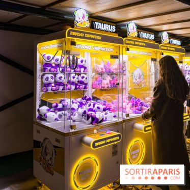 Le Japon en Lumières : le parcours lumineux et festival des lanternes 2025 du Jardin d'Acclimatation
