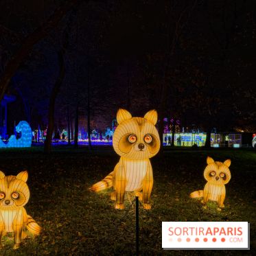 Le Japon en Lumières : le parcours lumineux et festival des lanternes 2025 du Jardin d'Acclimatation