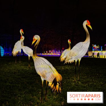 Le Japon en Lumières : le parcours lumineux et festival des lanternes 2025 du Jardin d'Acclimatation