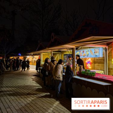 Le Japon en Lumières : le parcours lumineux et festival des lanternes 2025 du Jardin d'Acclimatation - IMG 5032