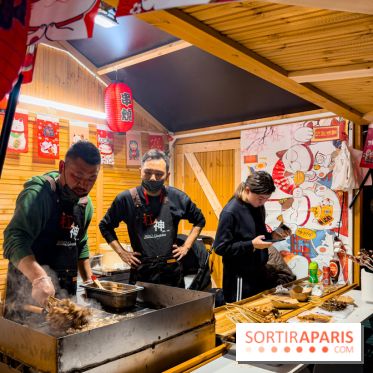 Le Japon en Lumières : le parcours lumineux et festival des lanternes 2025 du Jardin d'Acclimatation - IMG 5036