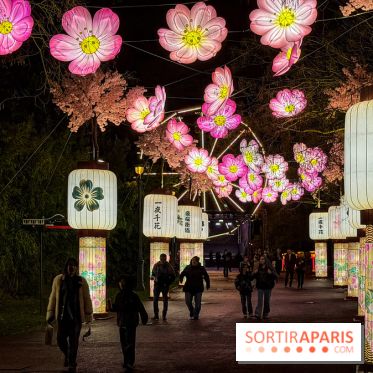 Le Japon en Lumières : le parcours lumineux et festival des lanternes 2025 du Jardin d'Acclimatation - IMG 5079