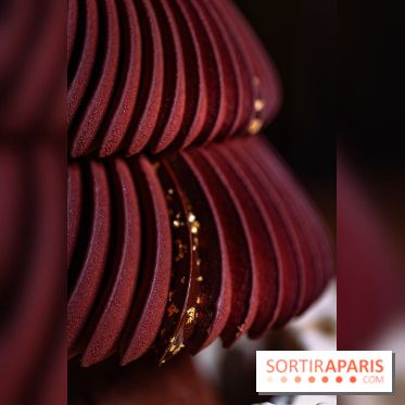 Bûche de Noël Cheval Blanc 2025 : Maxime Frédéric dévoile un sapin exceptionnel - photos - A7C02782