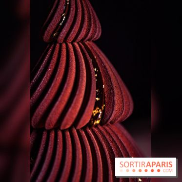 Bûche de Noël Cheval Blanc 2025 : Maxime Frédéric dévoile un sapin exceptionnel - photos - A7C02783