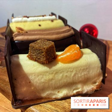 Bûches de Noël végétales de La Mauvaise Herbe - IMG 1589