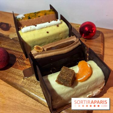 Bûches de Noël végétales de La Mauvaise Herbe - IMG 1590