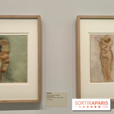 Rodin, dessins libres : une exposition d'œuvres rarement montrées au musée Rodin se dévoile