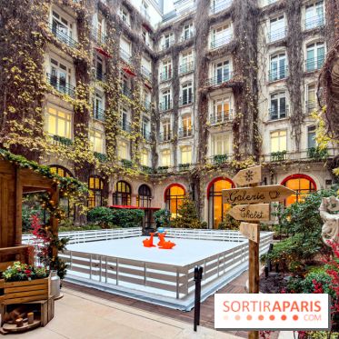 Noël 2025 au Plaza Athénée : tea time festif en famille, patinoire enchantée et chalet-raclette - IMG 4238