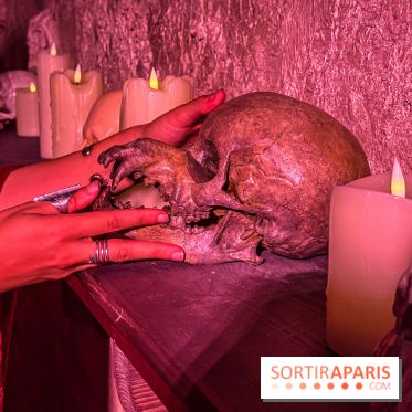 Wolf Gang – La Menace des Loups - IMG 2458 2