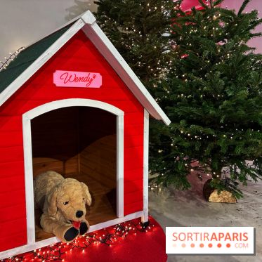 L'Appart de Noël Star Academy  - IMG 1910