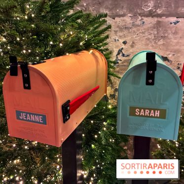 L'Appart de Noël Star Academy  - IMG 1975