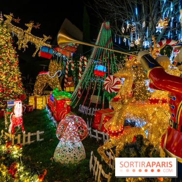 Ce passionné en Essonne transforme son jardin en Village de Noël à visiter gratuitement