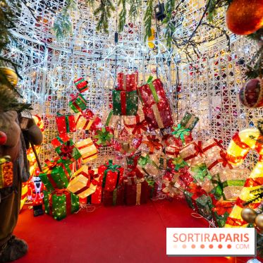 Ce passionné en Essonne transforme son jardin en Village de Noël à visiter gratuitement