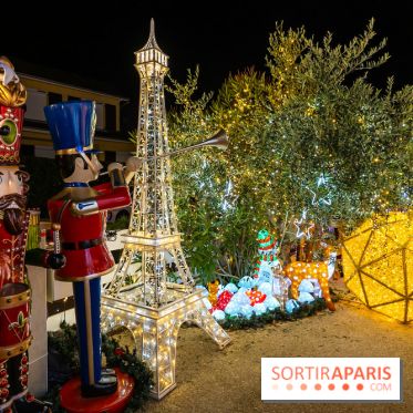 Ce passionné en Essonne transforme son jardin en Village de Noël à visiter gratuitement
