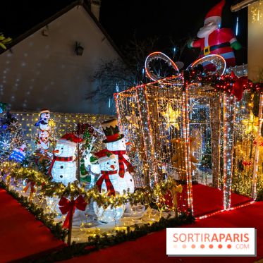 Ce passionné en Essonne transforme son jardin en Village de Noël à visiter gratuitement