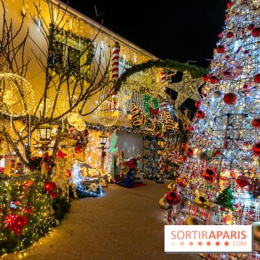 Ce passionné en Essonne transforme son jardin en Village de Noël à visiter gratuitement