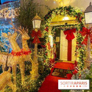 Ce passionné en Essonne transforme son jardin en Village de Noël à visiter gratuitement