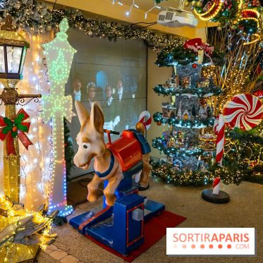 Ce passionné en Essonne transforme son jardin en Village de Noël à visiter gratuitement