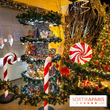 Ce passionné en Essonne transforme son jardin en Village de Noël à visiter gratuitement