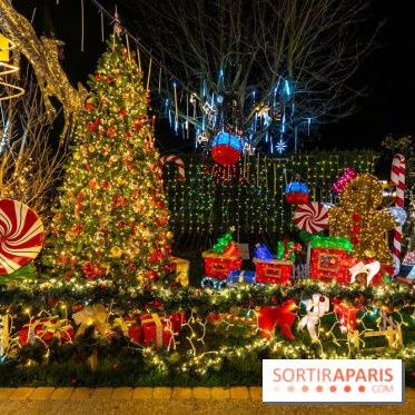 Ce passionné en Essonne transforme son jardin en Village de Noël à visiter gratuitement