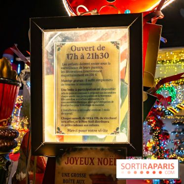 Ce passionné en Essonne transforme son jardin en Village de Noël à visiter gratuitement