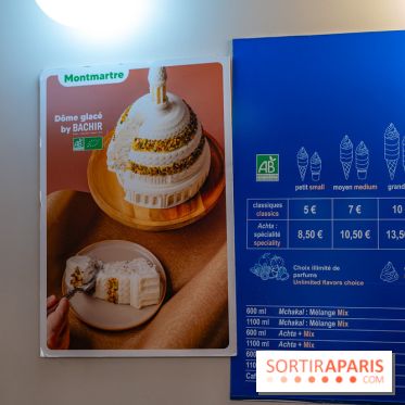 Les bûches de Noël glacées de Bachir spécial dômes parisiens