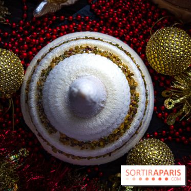 Les bûches de Noël glacées de Bachir spécial dômes parisiens