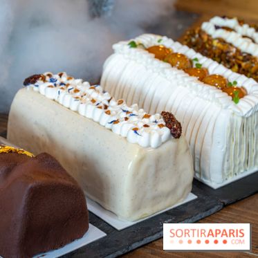 Les bûches de Noël artisanales de Baiman's Cake à Montreuil - photos - A7C03356