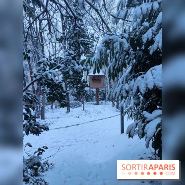 Neige en Île-de-France, hiver 2026 visuels - Kremlin-Bicêtre 94 Val-de-Marne