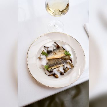 Abstinence - L1560327 copy