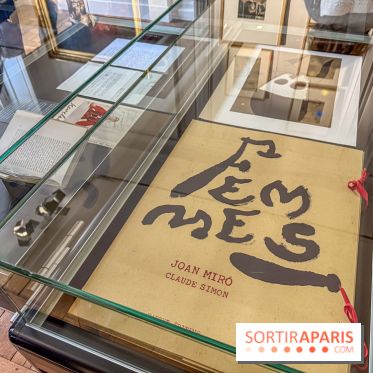 Claude Simon au Musée Lambinet : nos photos de l'exposition à Versailles - IMG 2919