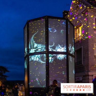 Lueurs de Mantes 2026, les photos du parcours lumineux gratuit des Yvelines