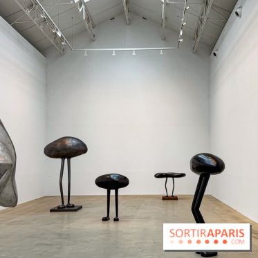 Erwin Wurm - Tomorrow yes : l'exposition gratuite à la galerie Thaddaeus Ropac, à Pantin (93) - IMG 9179