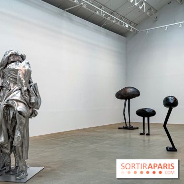 Erwin Wurm - Tomorrow yes : l'exposition gratuite à la galerie Thaddaeus Ropac, à Pantin (93) - IMG 9187