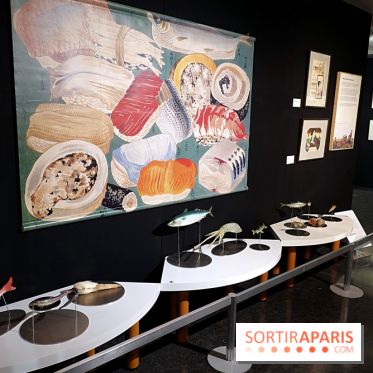 I love Sushi, nos photos de l'exposition à la Maison de la culture du Japon