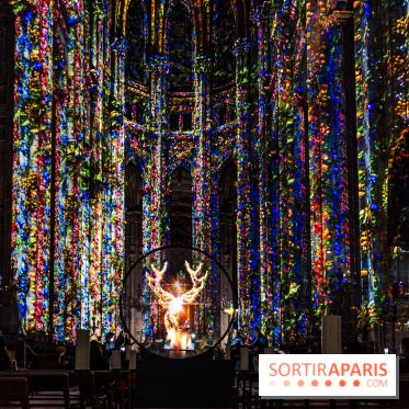 L'Odyssée Céleste à l'église Saint-Eustache à Paris, le nouveau spectacle Luminiscence 