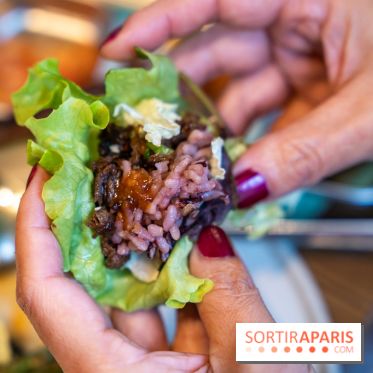 Hallyu Kitchen, le nouveau restaurant coréen Paris 9e - photos