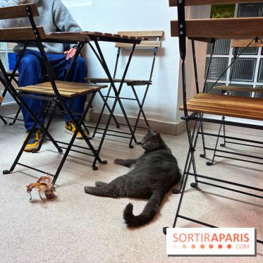 Le Chatelier