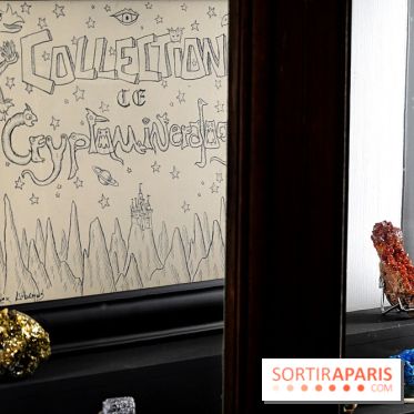 Codex on the Rocks, nos photos de l'expo au Musée de Minéralogie à Paris