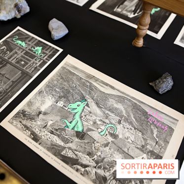 Codex on the Rocks, nos photos de l'expo au Musée de Minéralogie à Paris