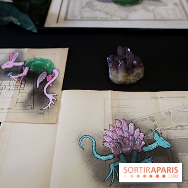 Codex on the Rocks, nos photos de l'expo au Musée de Minéralogie à Paris