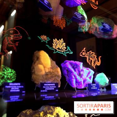 Codex on the Rocks, nos photos de l'expo au Musée de Minéralogie à Paris