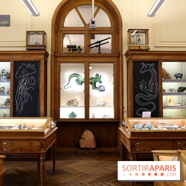 Codex on the Rocks, nos photos de l'expo au Musée de Minéralogie à Paris