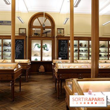 Codex on the Rocks, nos photos de l'expo au Musée de Minéralogie à Paris