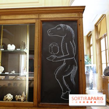 Codex on the Rocks, nos photos de l'expo au Musée de Minéralogie à Paris