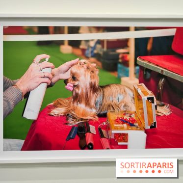 Global Warning : le photographe Martin Parr à l'honneur dans une exposition au Jeu de Paume