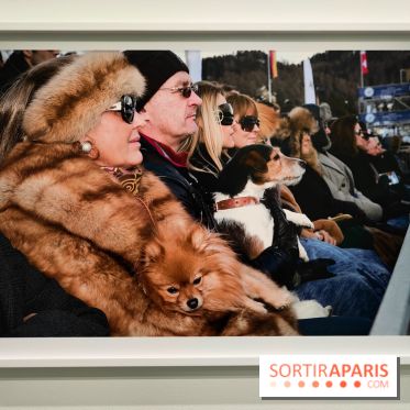 Global Warning : le photographe Martin Parr à l'honneur dans une exposition au Jeu de Paume