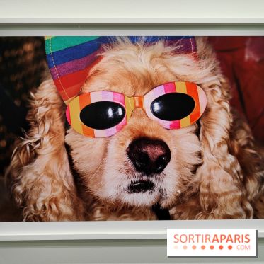 Global Warning : le photographe Martin Parr à l'honneur dans une exposition au Jeu de Paume