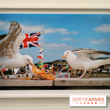Global Warning : le photographe Martin Parr à l'honneur dans une exposition au Jeu de Paume