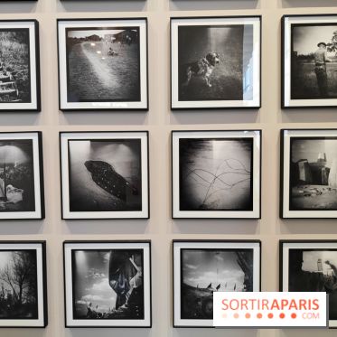 En ces lieux : la photographe contemporaine Jo Ractliffe expose au Jeu de Paume, nos images - fotor 1769690117145